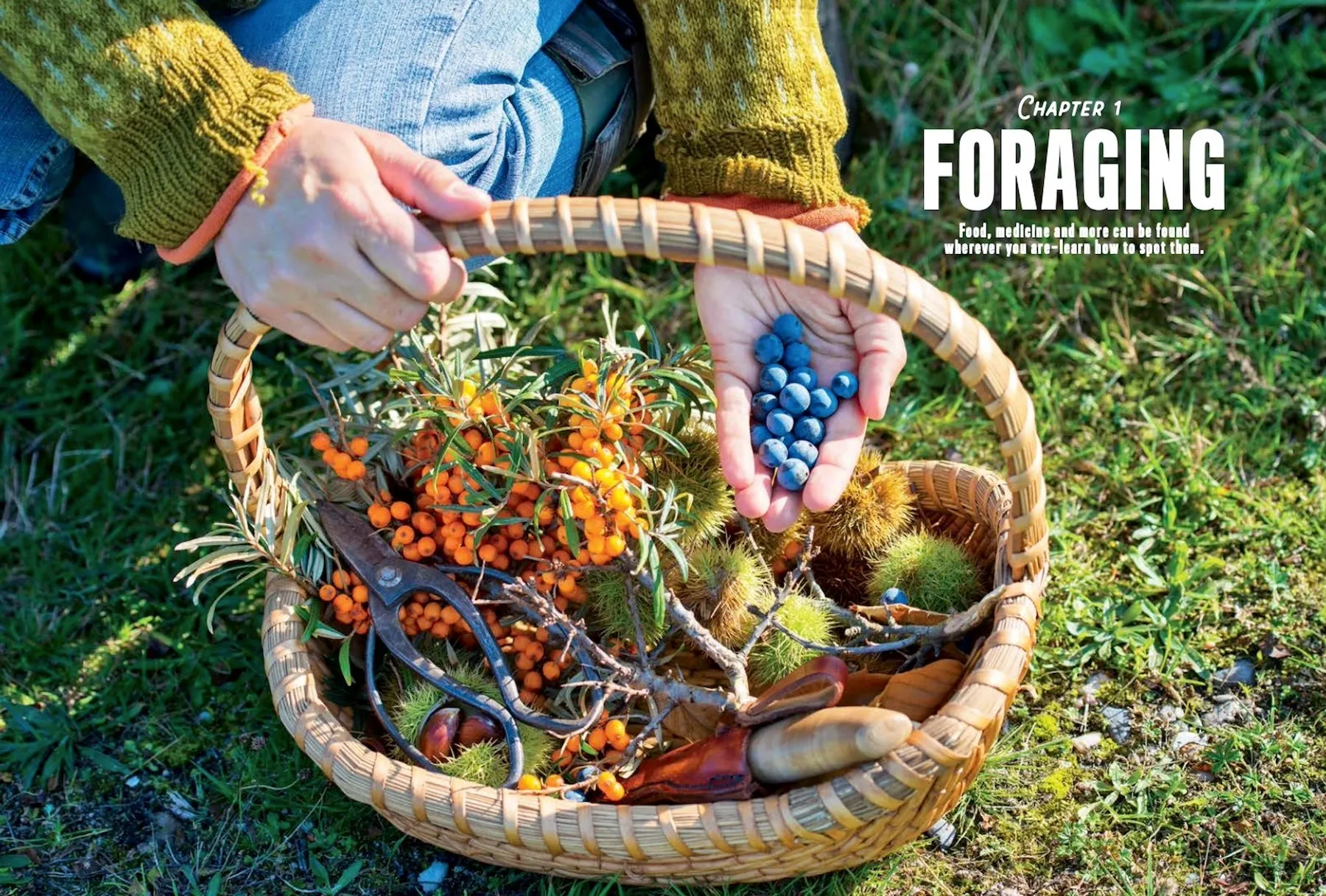 Living Off the Land - Complete Guide Self Reliance Skills You Need to Know: 300  Essential Tips, Off-Grid Knowledge, Wilderness Necessities, Survival Strategies and Fishing & Hunting!