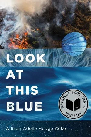 Look at This Blue CHPbeta
