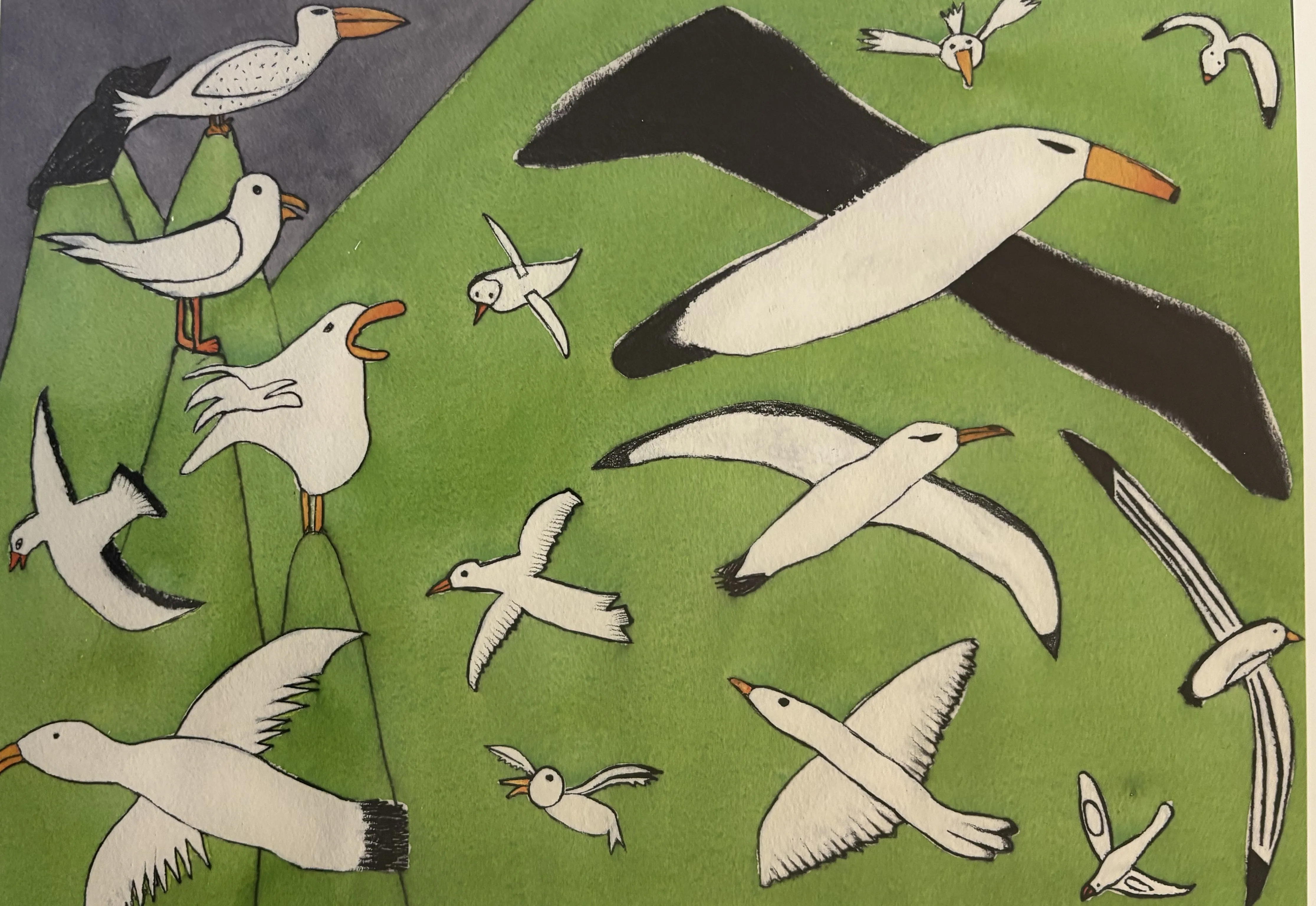 Macquarie Island Birds PRINT Alison Lester