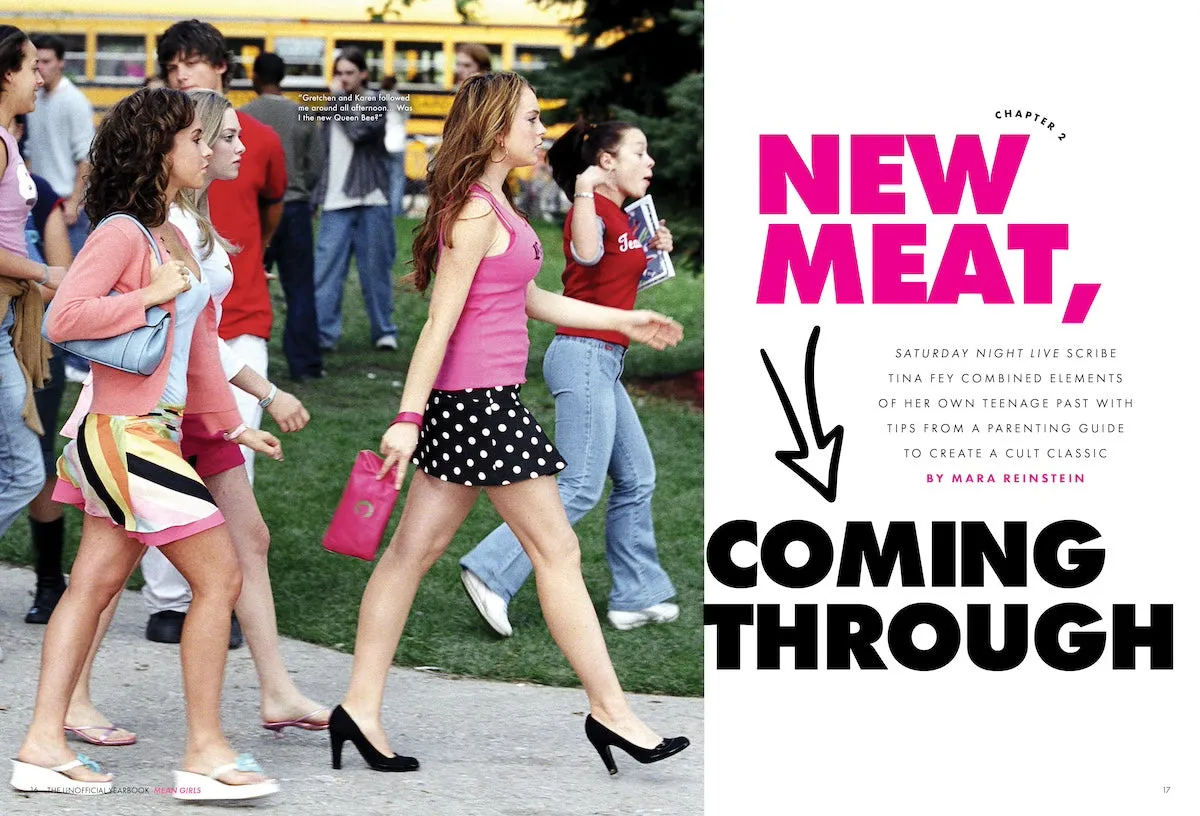 Mean Girls - Where The Stars Are Now, Rachel McAdams, Lindsay Lohan, Amanda Seyfried, SNL's Tina Fey, Cult Classic, The Plastics, Regina George, Damien, Janis, Quotes, Fetch & 2024 New Musical Movie!