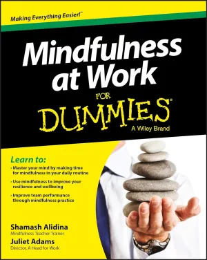 Mindfulness at Work For Dummies Paperback