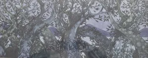 Moonlight PRINT Alison Lester