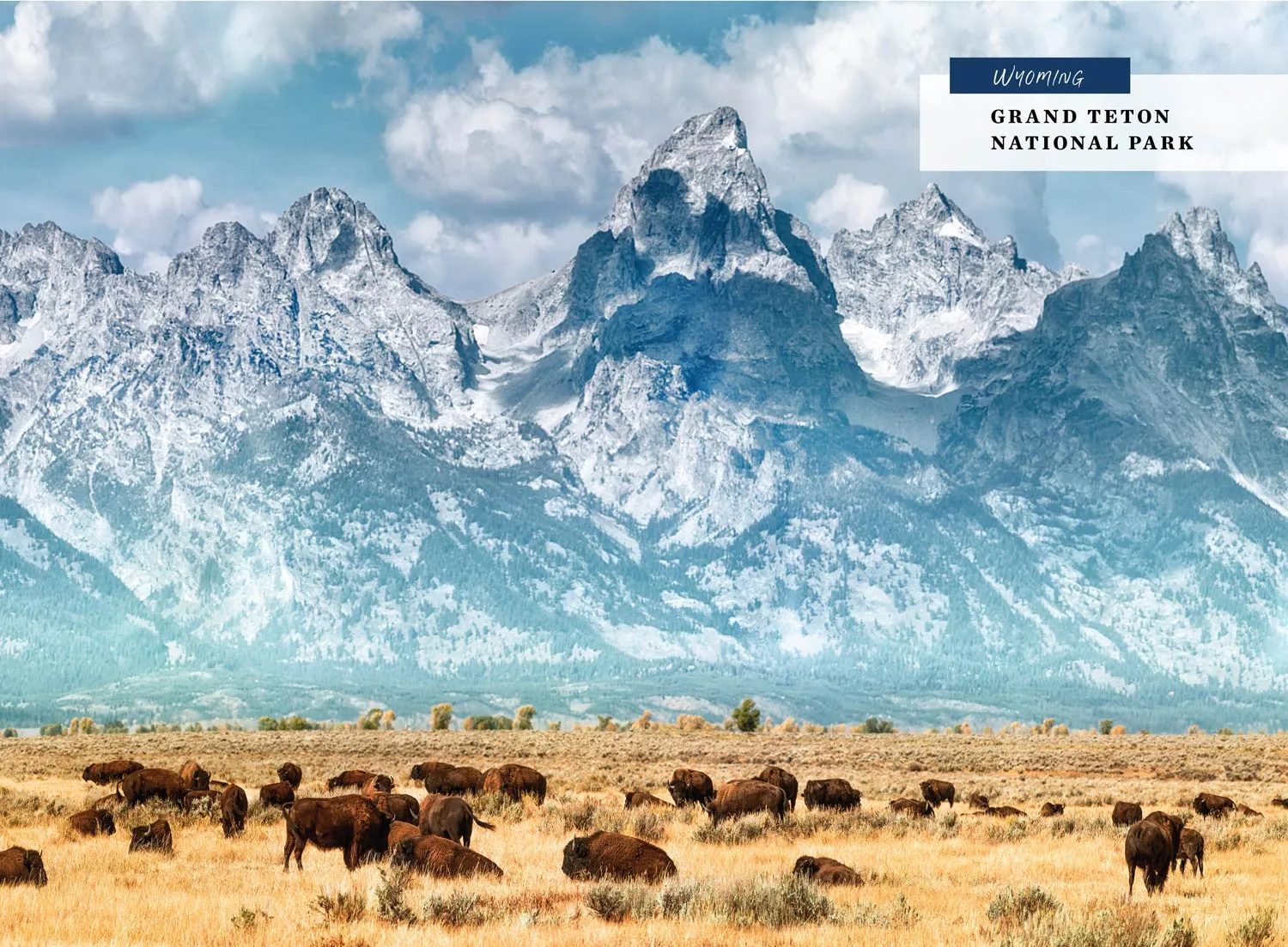 National Parks - 2025 Calendar: Year Of America's Natural Treasures, Stunning Photos, Interesting Facts, Location, Opening, History, Yellowstone, Grand Teton, Grand Canyon, Badlands, Everglades & More