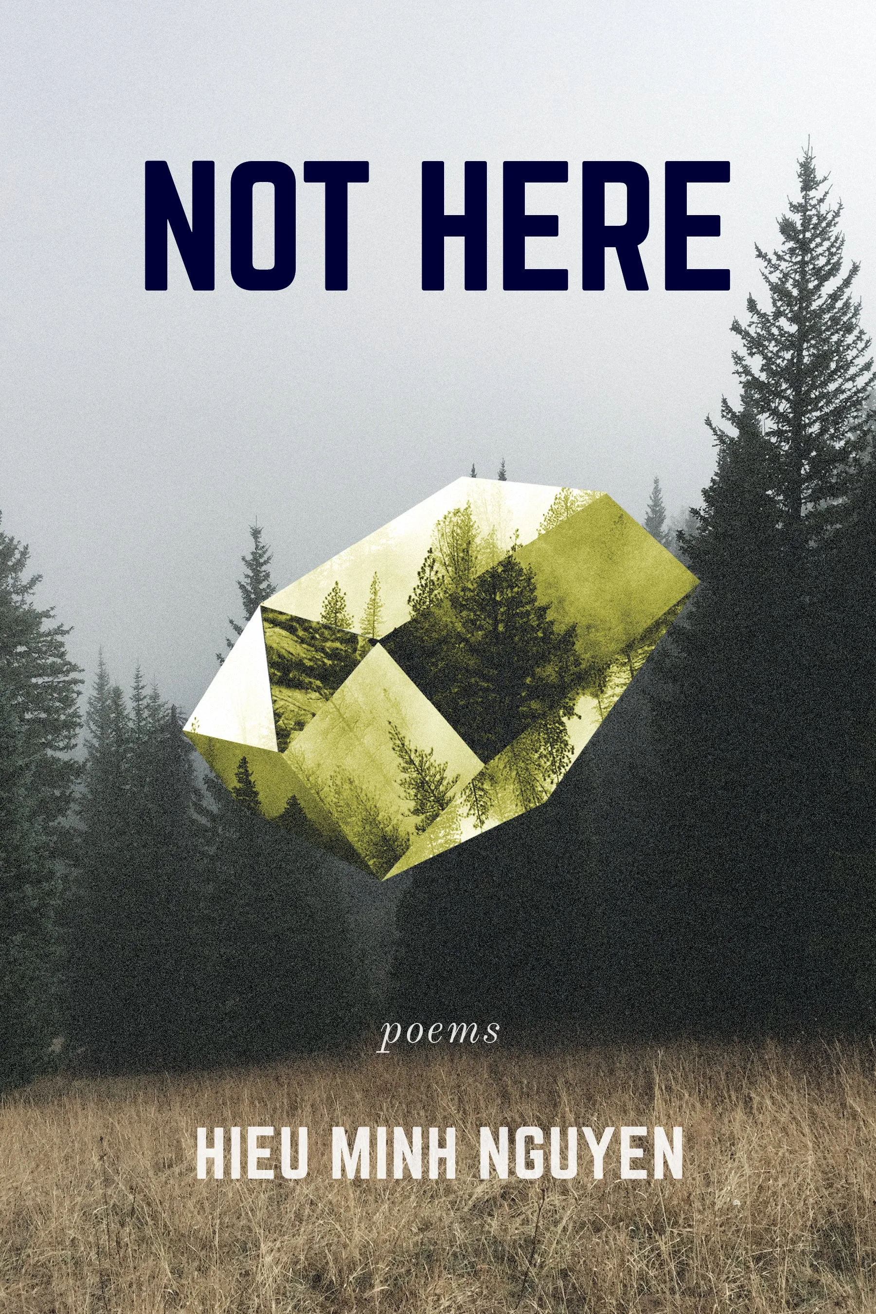 Not Here CHPbeta