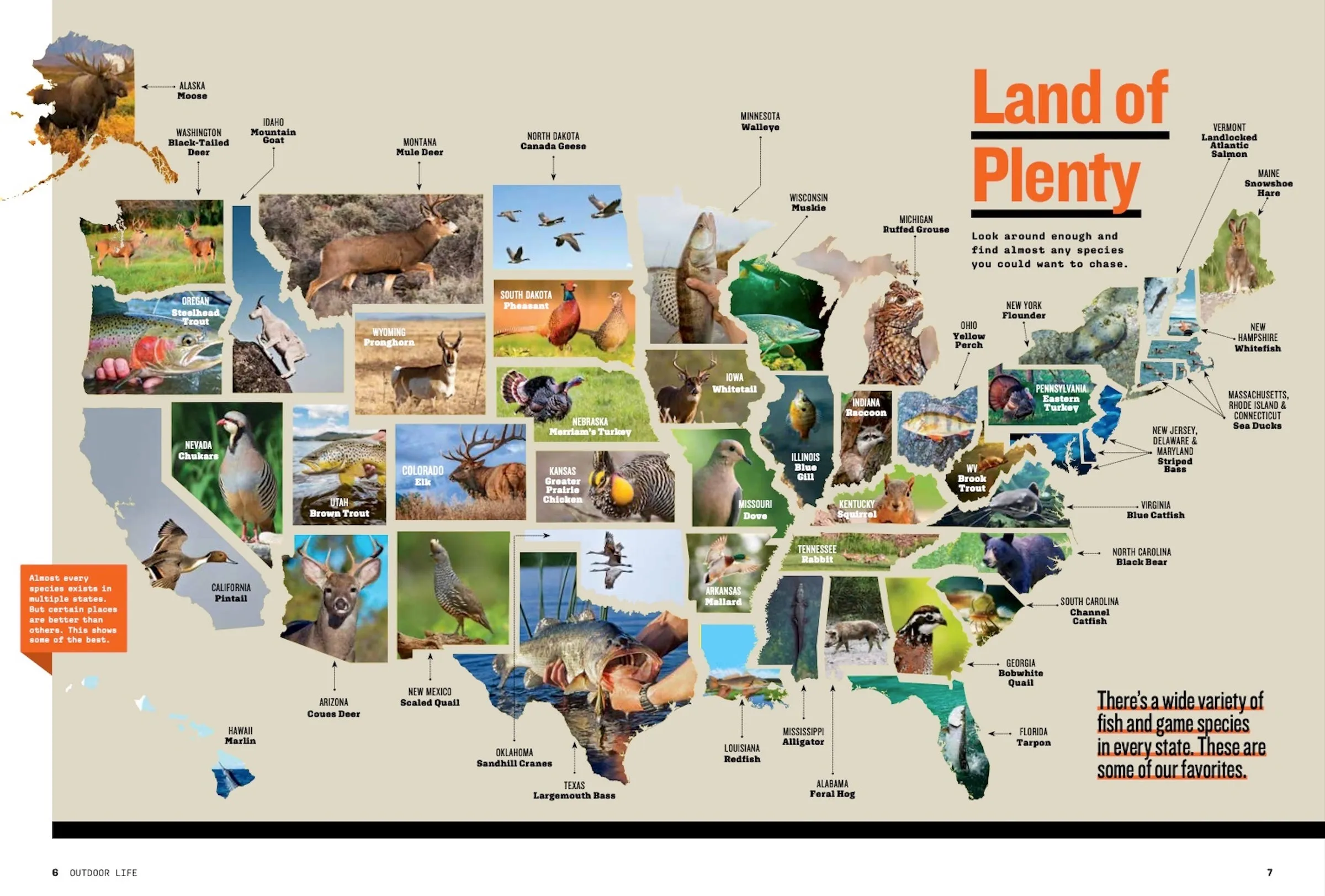 Outdoor Life - Hunting & Fishing Ultimate Guide: Tips & Tactics for Every State! Big Game, Pronghorn, Elk, Whitetail Deer, Upland Birds, Waterfowl, Small Game, Fall Fishing & More!