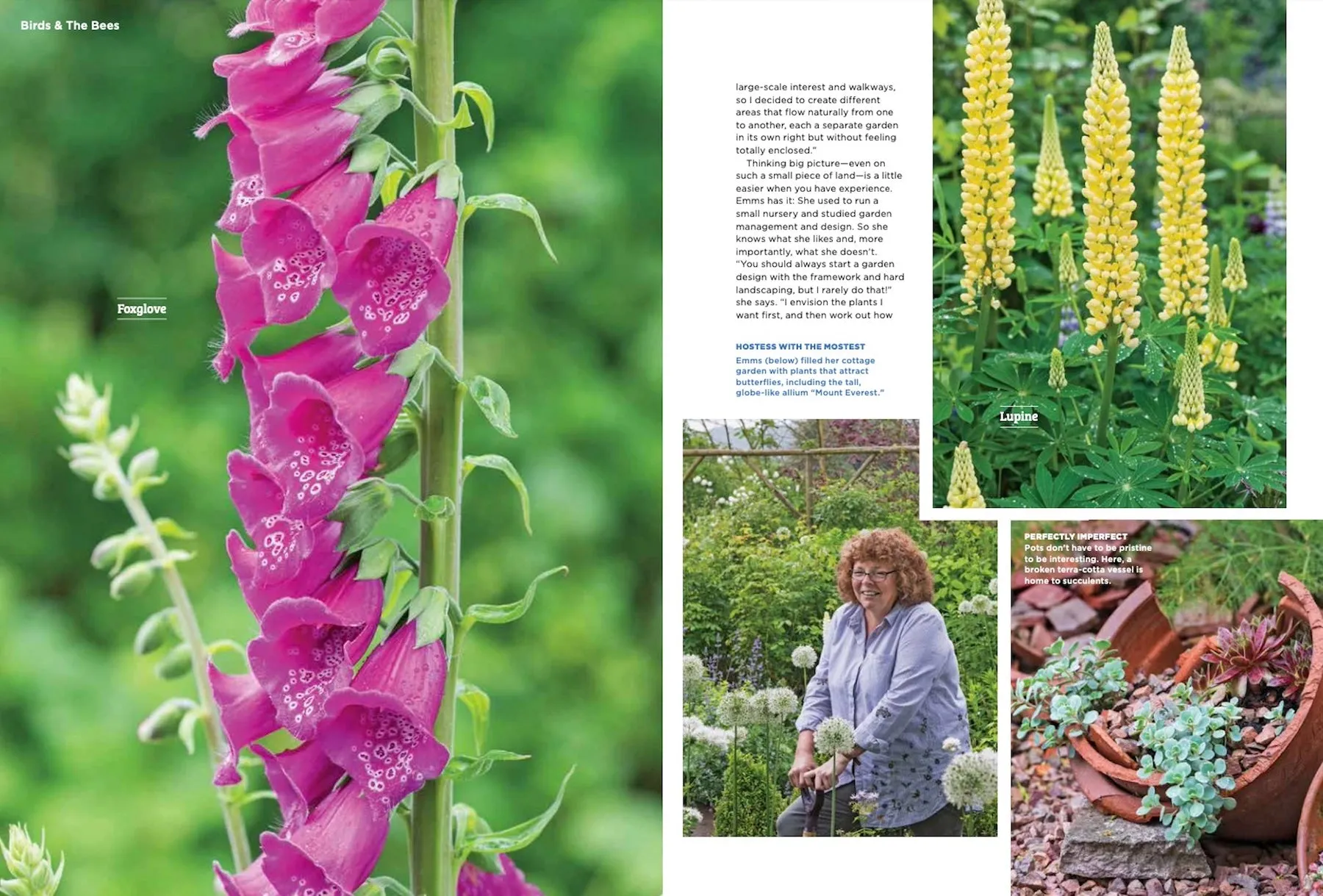 Perennials - Create a Gorgeous Garden With Our Perfect Picks: Roses, Peonies, Hydrangeas & More! 20 Foolproof Planting Tips!
