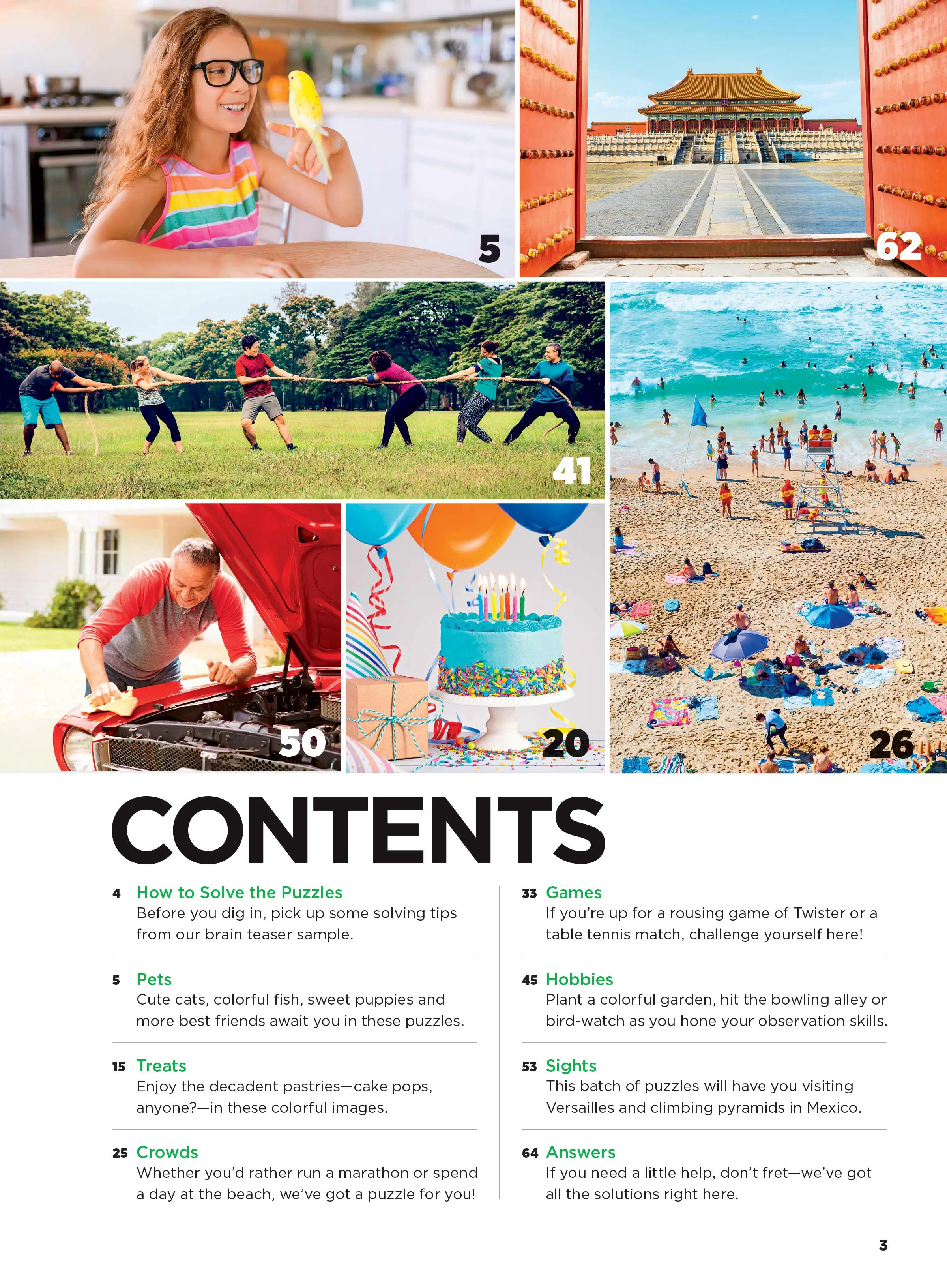 Picture Puzzle - Brain Fun: Spot 238 Differences, Unscramble Photo, Odd One Out, 6 Categories, Furry Friends, Pastimes, Game Day, Around the World, Sweet Treats, Outdoor Living, De-Stress & Unplug!