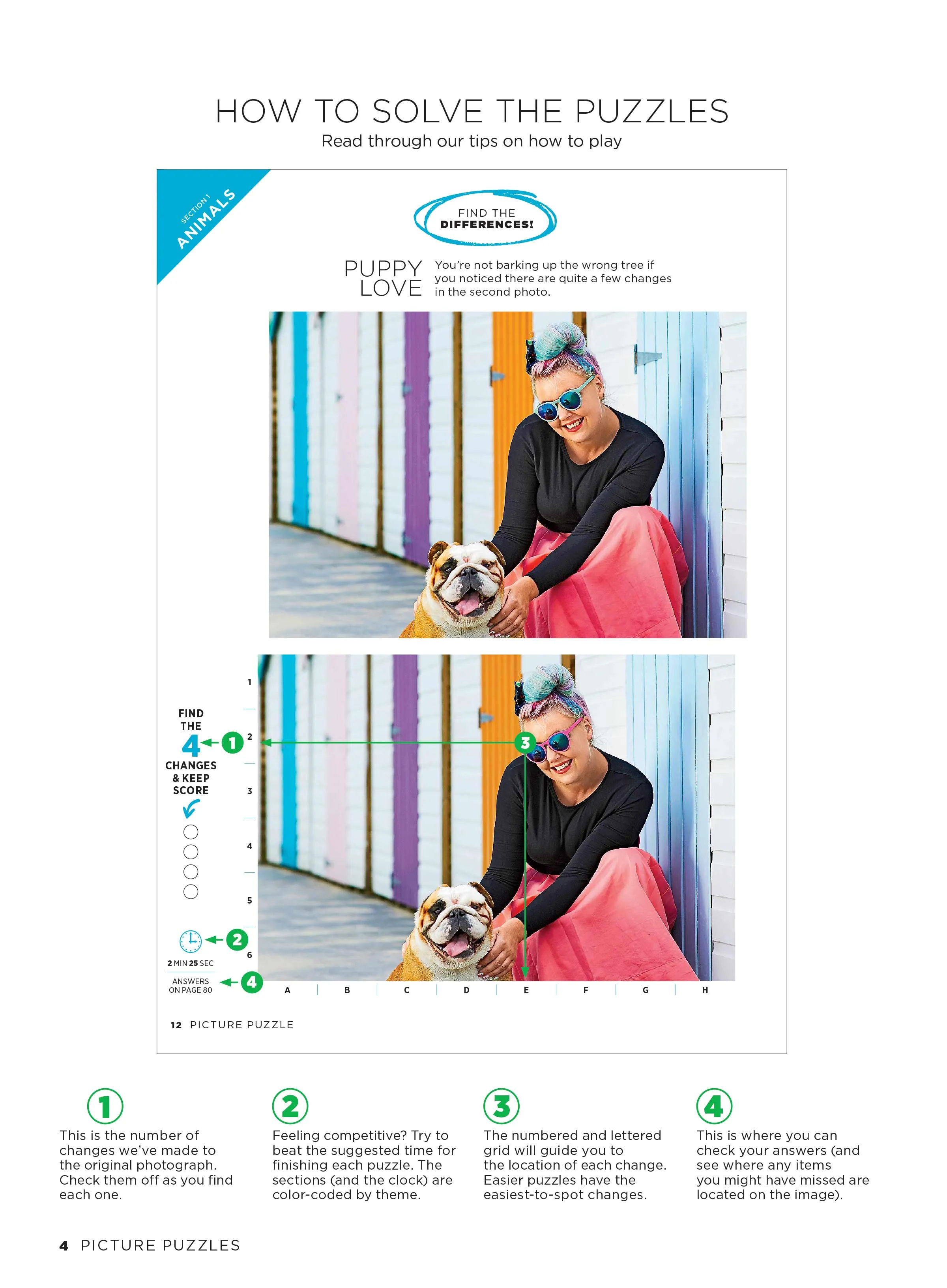 Picture Puzzle - Brain Fun: Spot 238 Differences, Unscramble Photo, Odd One Out, 6 Categories, Furry Friends, Pastimes, Game Day, Around the World, Sweet Treats, Outdoor Living, De-Stress & Unplug!