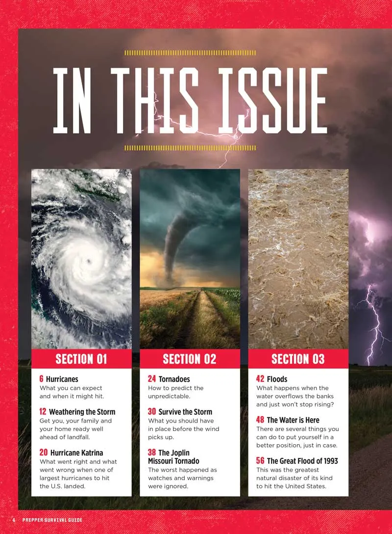 Prepper - Natural Disasters Survival Guide 2024 Edition: Hurricanes, Tornadoes, Heat Waves, Floods, Wildfires, Generators, Demolition & Repair, Stock Supplies, Planning Ahead, Hazards & More!