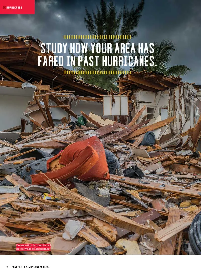 Prepper - Natural Disasters Survival Guide 2024 Edition: Hurricanes, Tornadoes, Heat Waves, Floods, Wildfires, Generators, Demolition & Repair, Stock Supplies, Planning Ahead, Hazards & More!