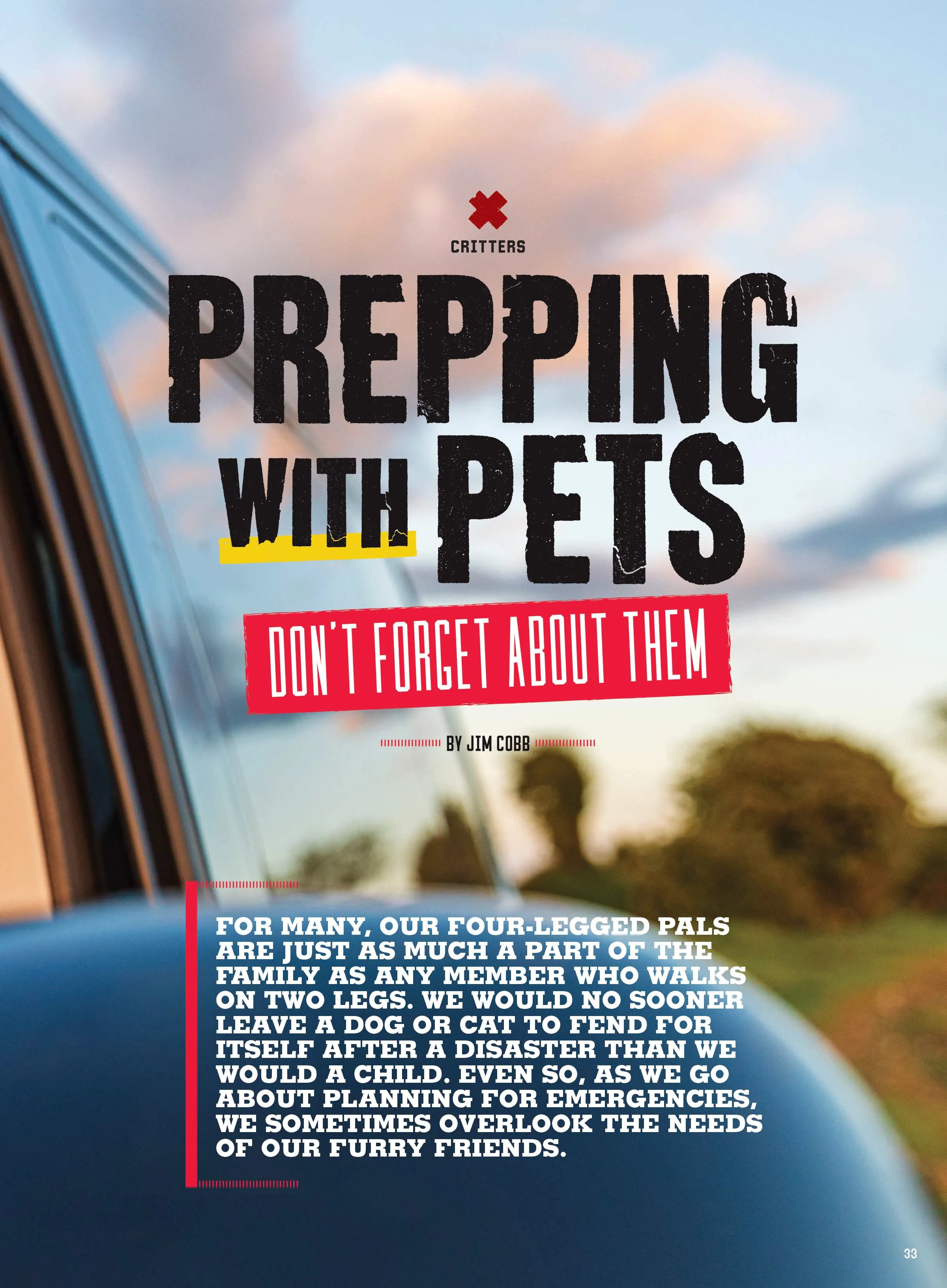 Prepper Survival Guide - Be Ready Now No. 21: First Aid, Hiking Protection, Water Sources, Home Security, Critical Tips, Storage Pantry, Pet Safety, Survivor Mindset, Gear & Gadget Guide