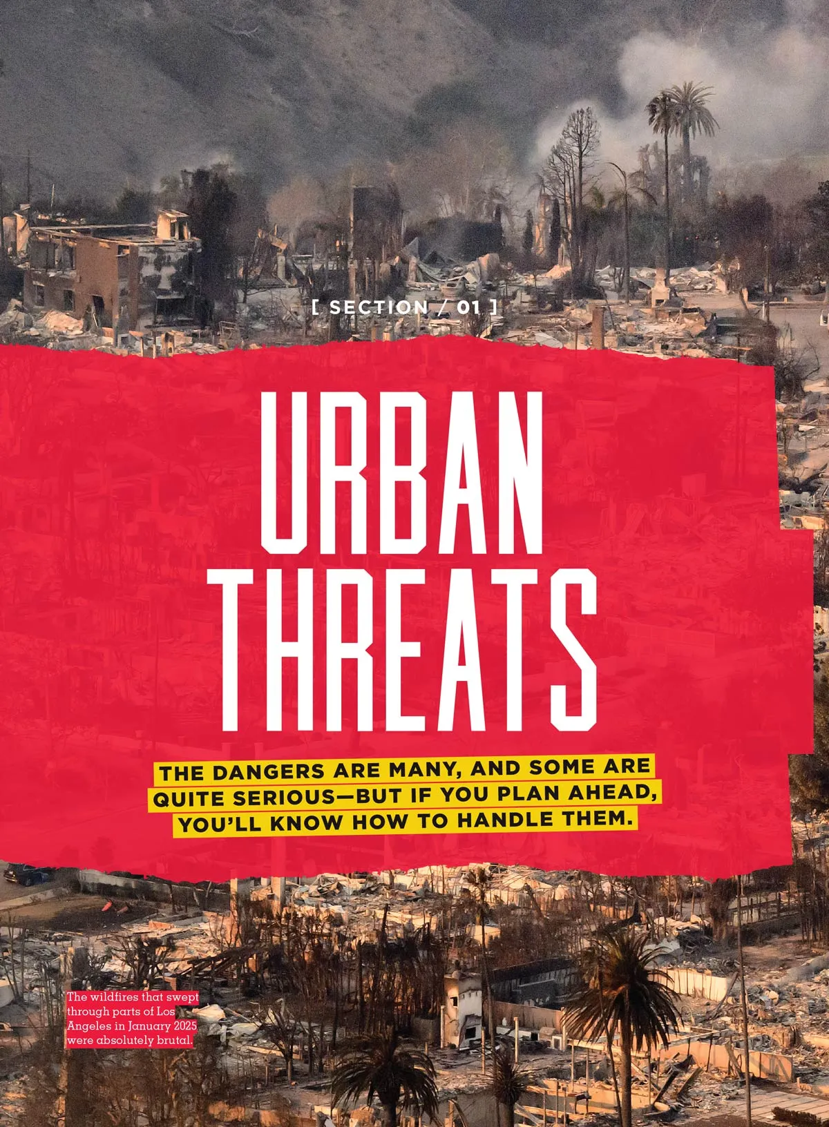 Prepper Survival Guide - How To Survive Disasters: Protect Your Loved Ones, Strategies & Tips For Terrorism, Natural Disasters & Civil Unrest, Ensure Your Safety, Plan Your Escape Route & More!