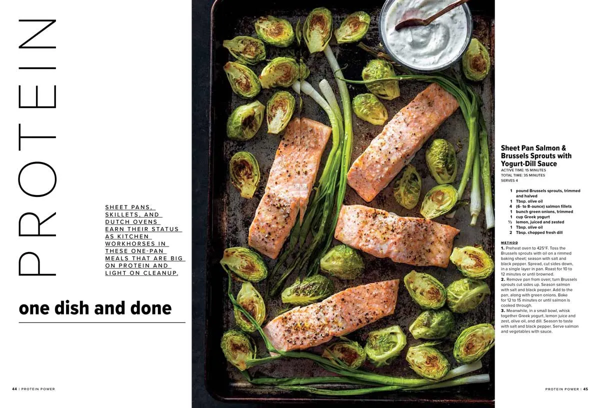 Protein Power Recipes - 102 Healthy Meals, Breakfasts, Smoothies, Eggs, Seafood, One Dish Dinners, Chicken, Slow Cooker Stews, Burgers, Grilling, Party Food, Vegetarian & Plant-Based Alternatives!