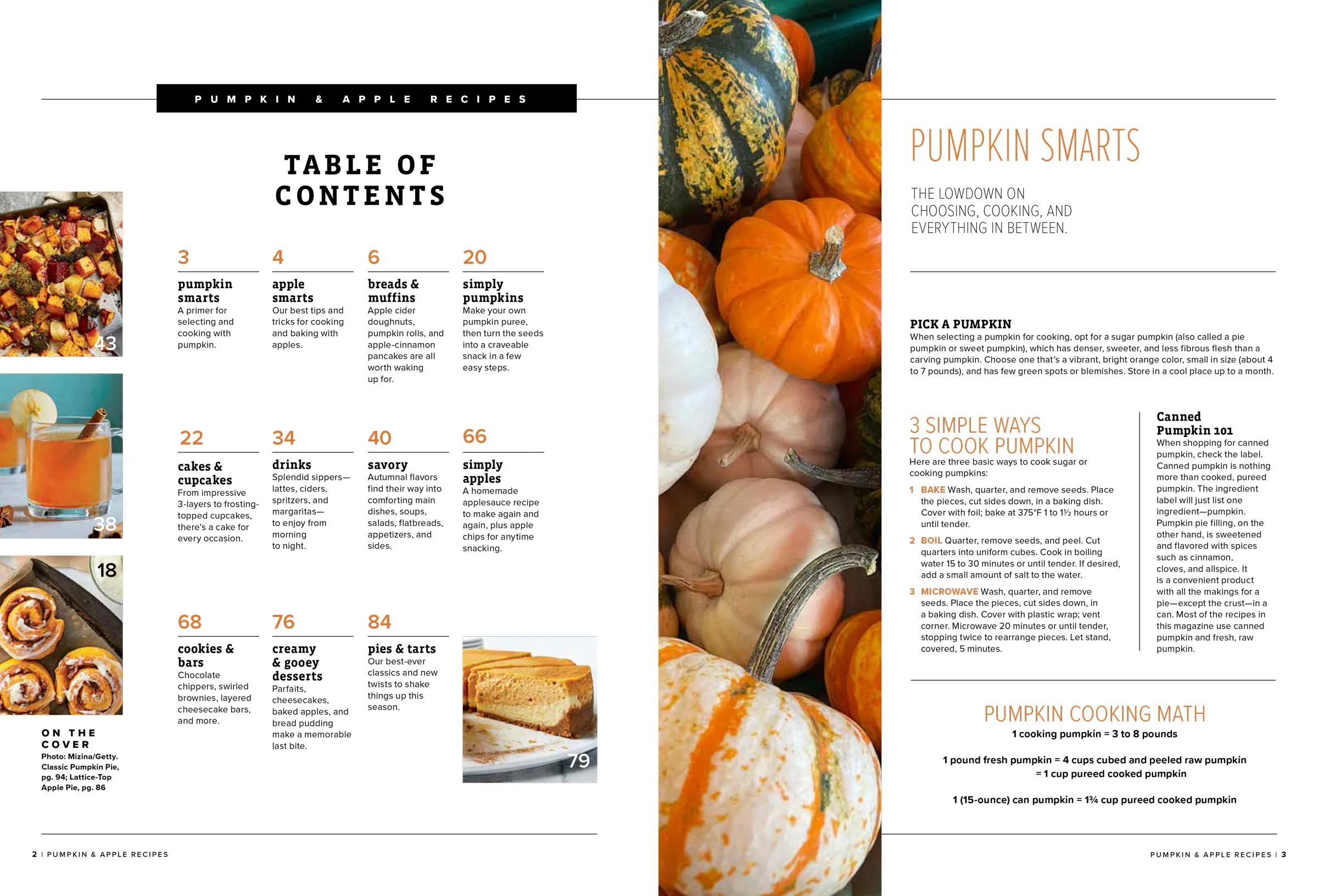 Pumpkin & Apple Recipes - 80  Ways To Savor Fall Flavors, Comforting Soups, Stews, Stuffing, Mac & Cheese, Easy Pies, Quick Breads, Cookies & Bars, Decadent Fall Desserts, Warming Ciders & More!