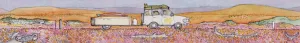 "...a pink tapestry of wildflowers..." PRINT Alison Lester