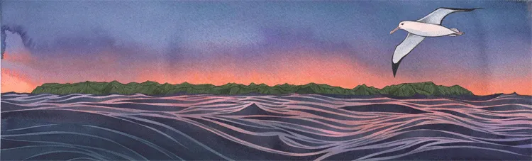 "...it's important to care for our precious places..." PRINT Alison Lester