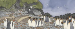 "...penguins and Seals crowded the beaches again..." PRINT Alison Lester