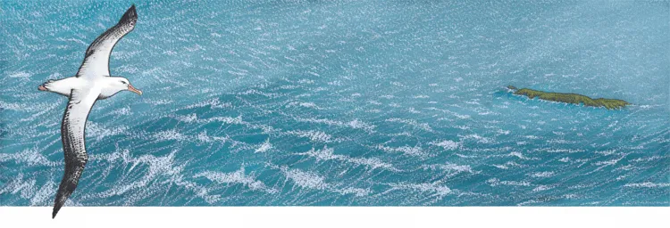 "...the vast windswept sea..." PRINT Alison Lester