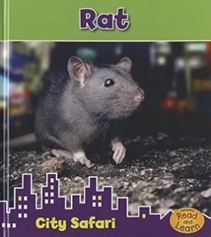 Rat: City Safari (Heinemann Read and Learn: City Safari)
