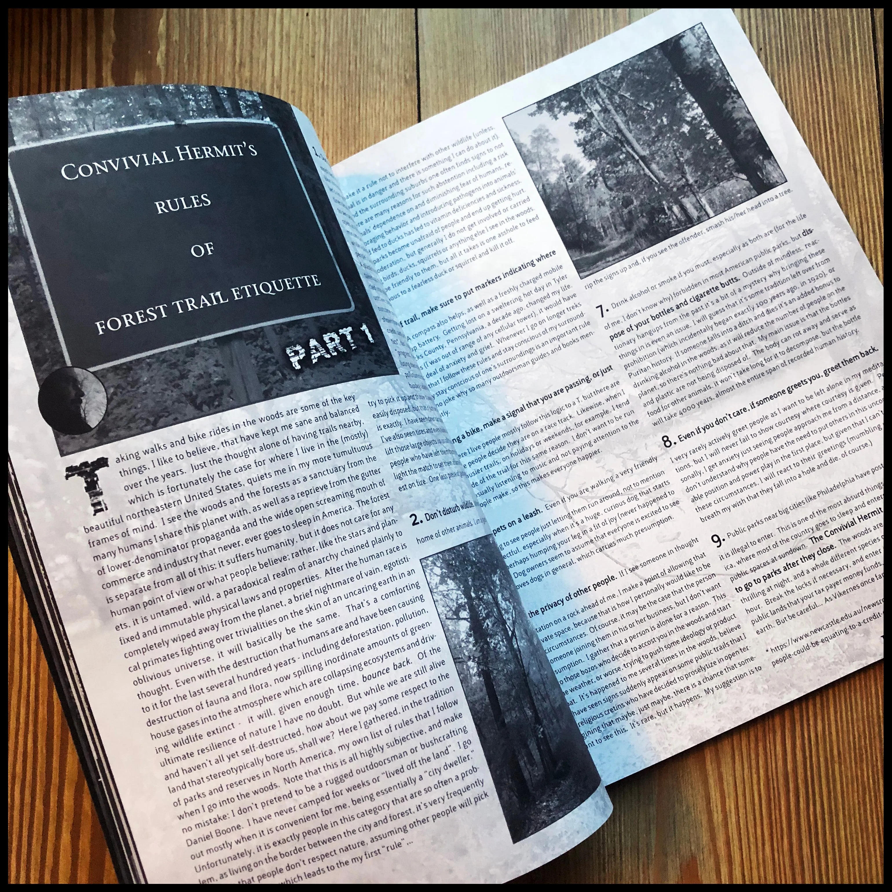 Sale: THE CONVIVIAL HERMIT issue 9 (large, high quality black / death / underground metal & culture publication)