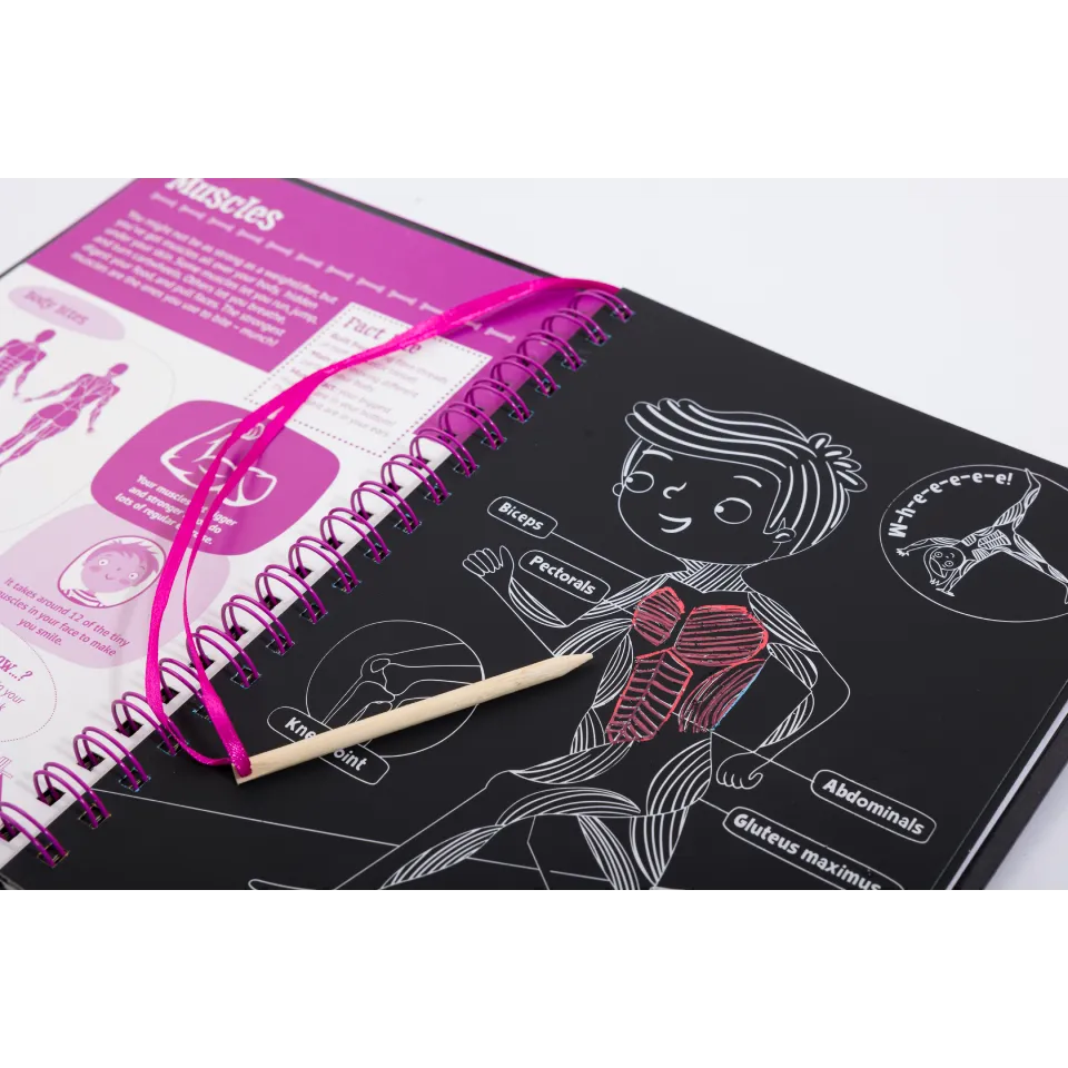 Scratch & Explore Book: Human Body