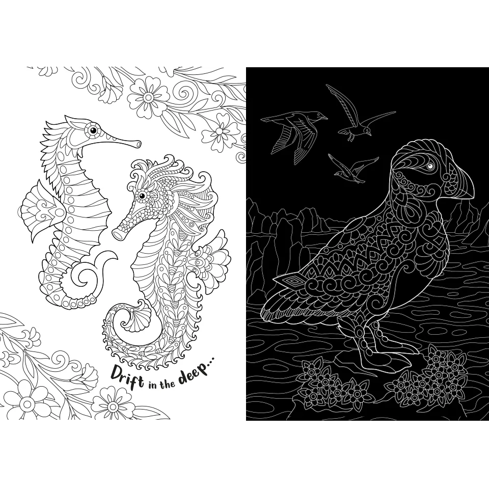 Scratch Art Creations: Amazing Animals