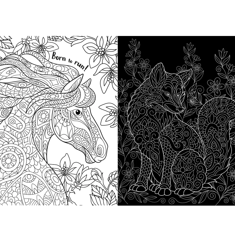 Scratch Art Creations: Amazing Animals
