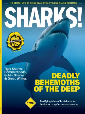 Shark Week - Deadly Behemoths Of The Deep, Terrifying Tales Of Brutal Attacks, How To Survive, Anatomy, Blood In The Water, Secrets, Tiger Sharks, Hammerheads, Goblin Sharks, Great Whites & More!