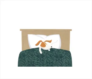 Sleep tight Bigsy PRINT Alison Lester