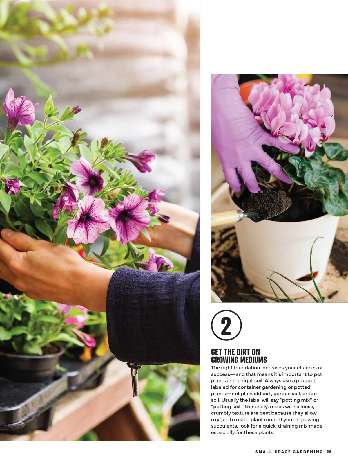 Small Space Gardening -  Big Ideas, Make The Most Of Every Square Inch, Grow Your Own Veggies & Save, Dream Retreats, Create A Haven On Your Deck Patio, Porch Or Backyard, Container Success & More!
