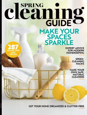 Spring Cleaning Guide - 287 Smart Tips & Tricks, Speed-Cleaning Hacks, Supplies, Stubborn Stains, Pet Messes, Clutter Cures, Storage, Germ Hot Spots, Fresh Scents, Outdoors, DIY Safe Cleaner & More!