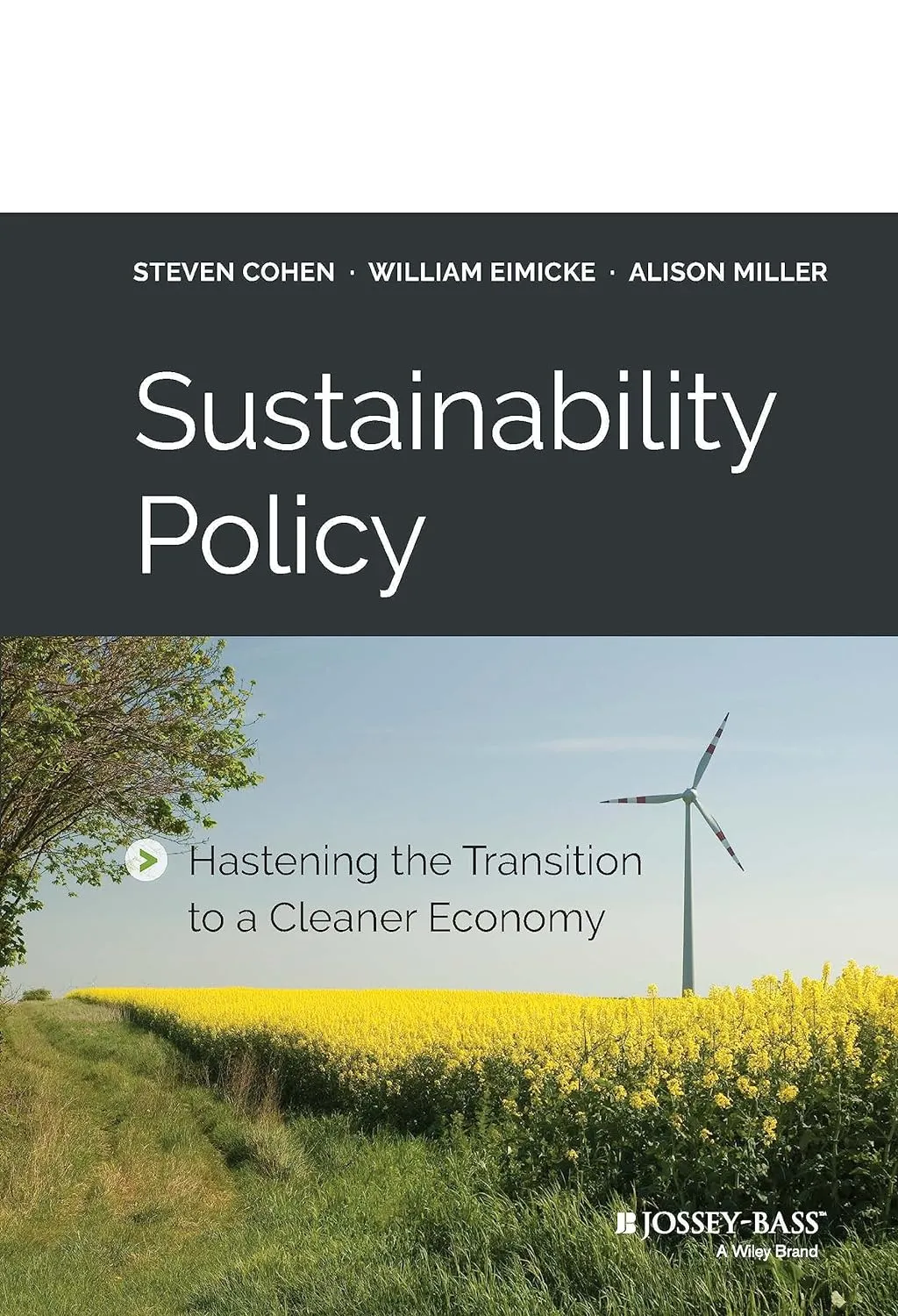 Sustainability Policy Hastening The Transition To A Cleaner Economy Hardcover