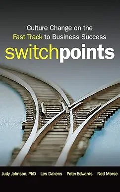 SwitchPoints: Culture Change on the Fast Track to Business Success Hardcover