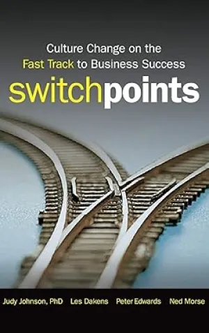SwitchPoints: Culture Change on the Fast Track to Business Success Hardcover