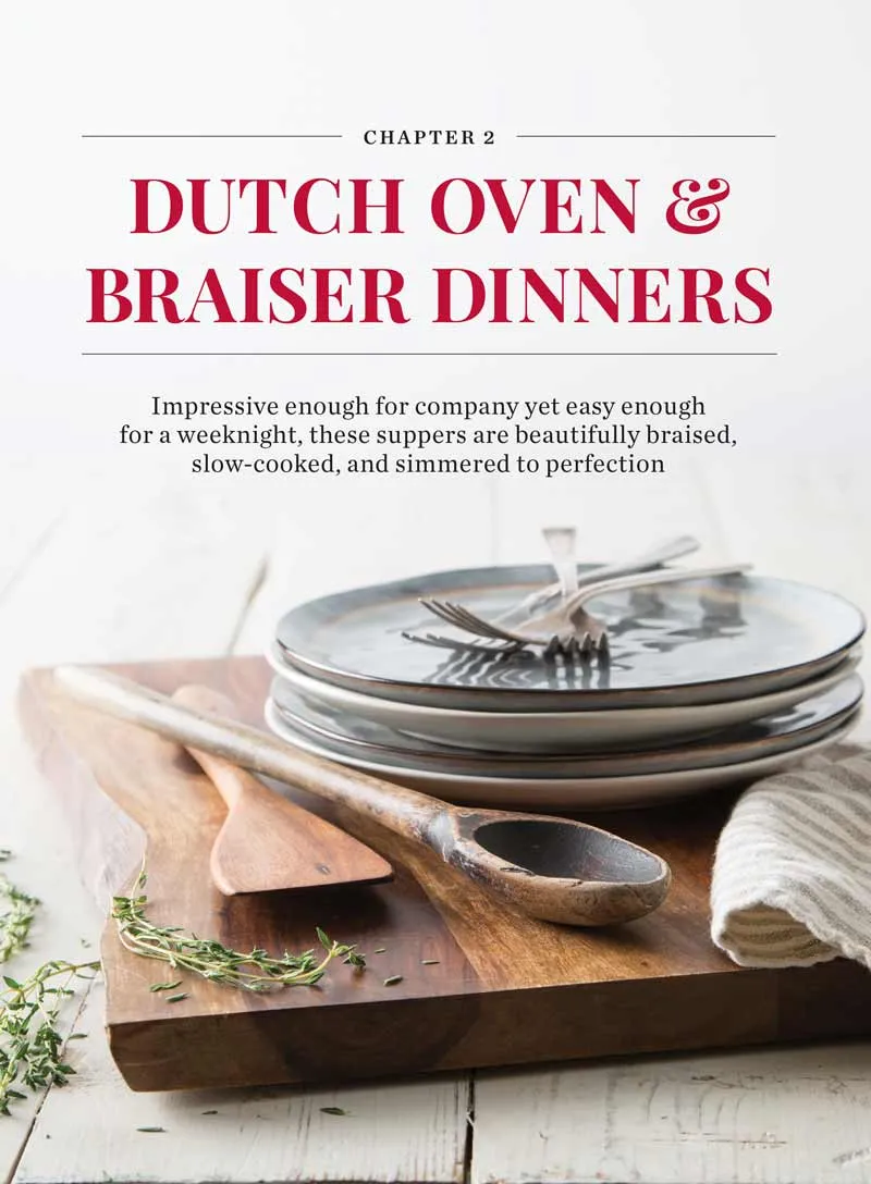 Taste Of The South - One-Dish Meals: 65 Recipes, Easy Skillet Suppers, Dutch Oven & Braiser Dinners, Sheet Pan & Casserole Meals, Soups, Rice, Chicken, Vegetables, Desserts, Kitchen Tips & More!