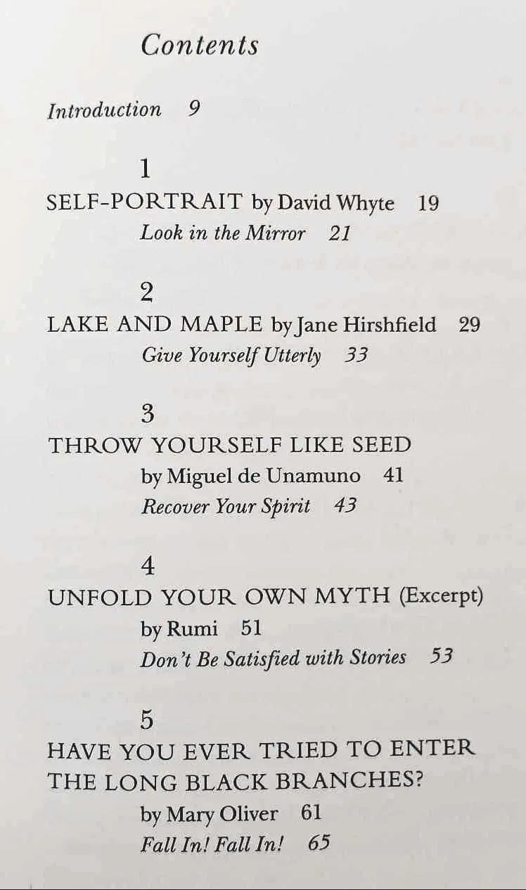 TEN POEMS TO SET YOU FREE - Roger Housden