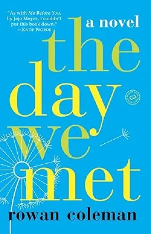 The Day We Met: A Novel Paperback