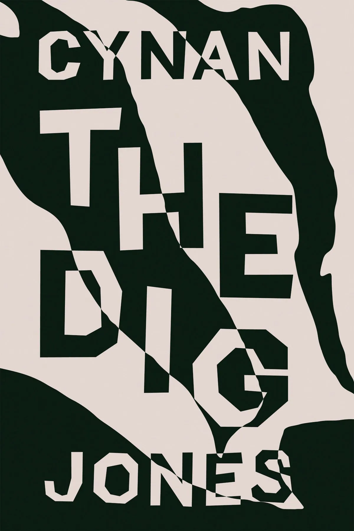 The Dig CHPbeta