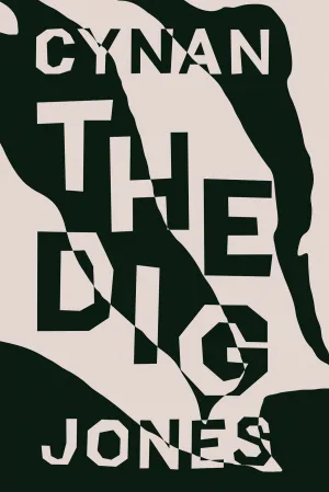 The Dig CHPbeta