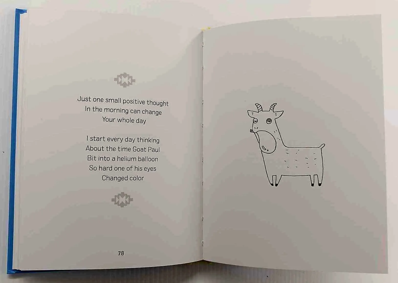 THE DOLLY LLAMA - Stephen Morrison