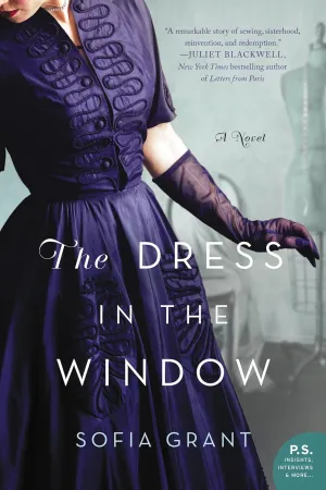 The Dress In The Window: A Novel Paperback