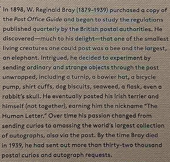 THE ENGLISHMAN WHO POSTED HIMSELF AND OTHER CURIOIUS OBJECTS - John Tingey