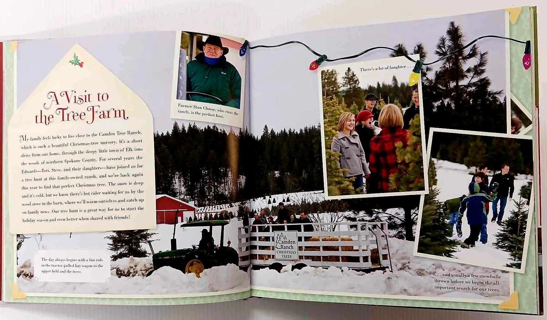 THE FARM CHICKS CHRISTMAS - Serena Thompson