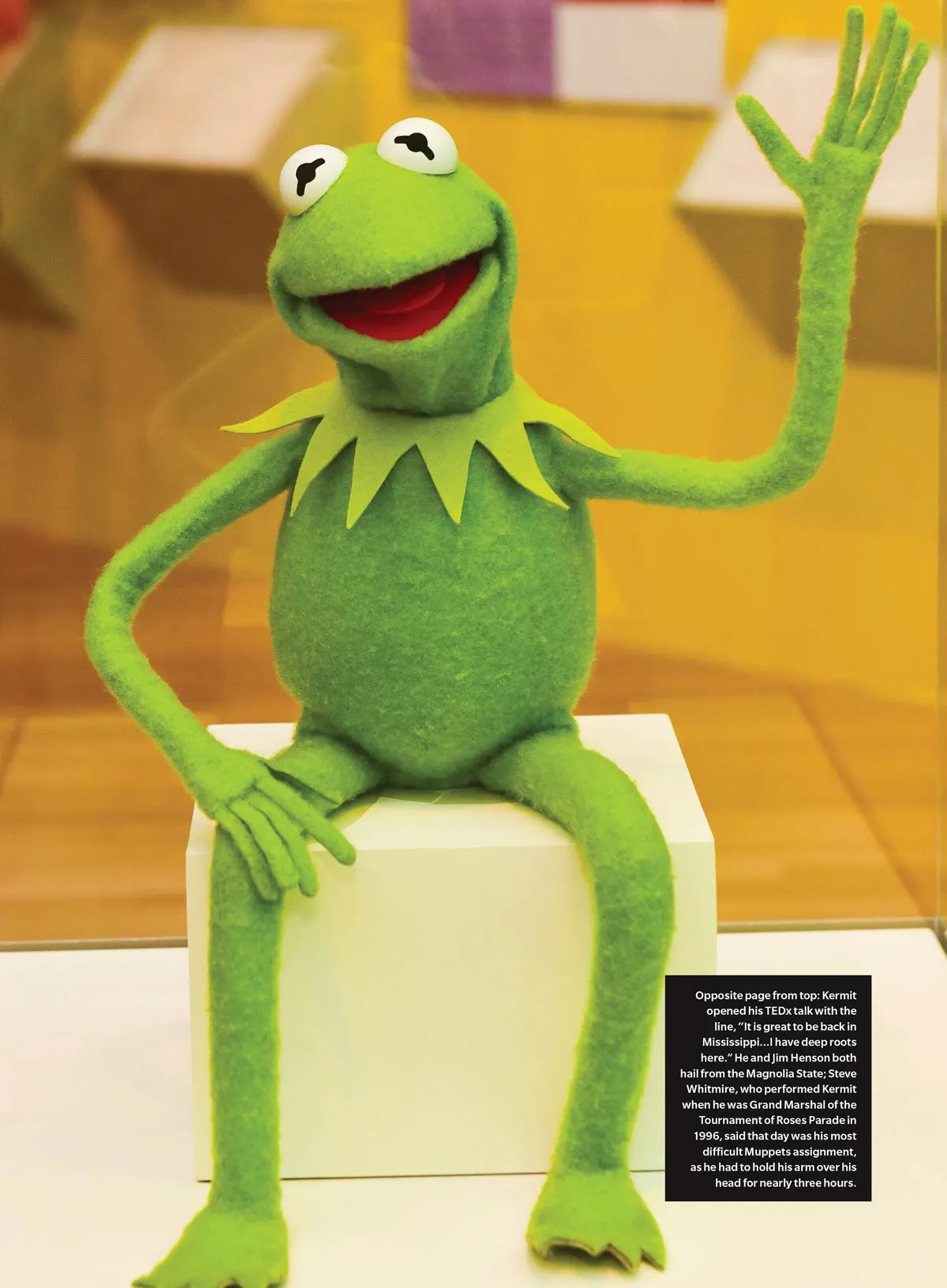 The Muppets - Super Unofficial Fan Guide: 50  Years Of Fun & Laughs, Celebrate The Muppet Show & Hit Movies, A To Z Of Your Favorite Monsters, Exclusive Sesame Street Muppeteer Shares Secrets & More!