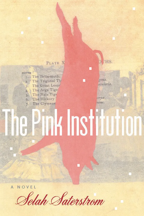 The Pink Institution CHPbeta