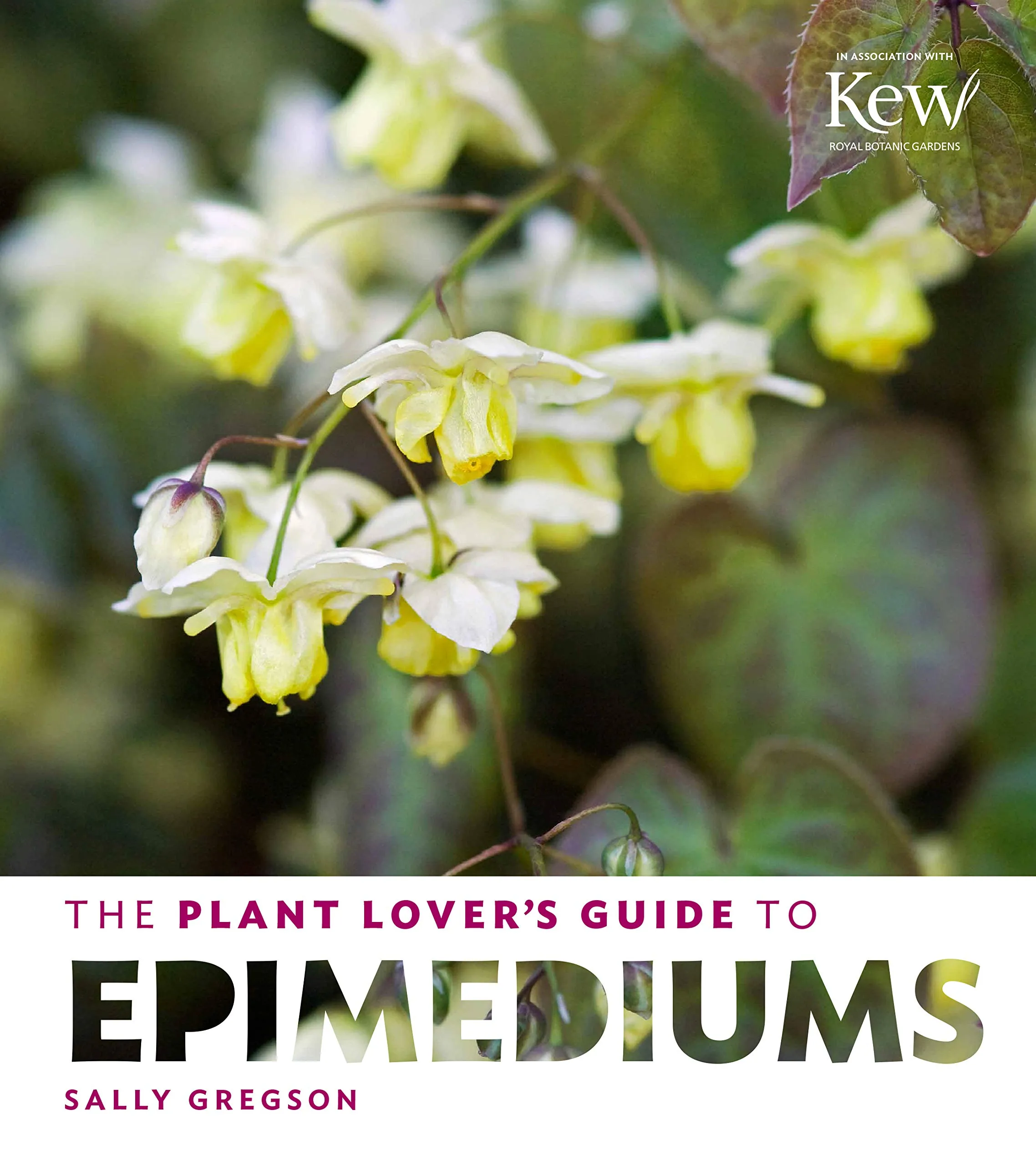 The Plant Lover's Guide to Epimediums Hardcover