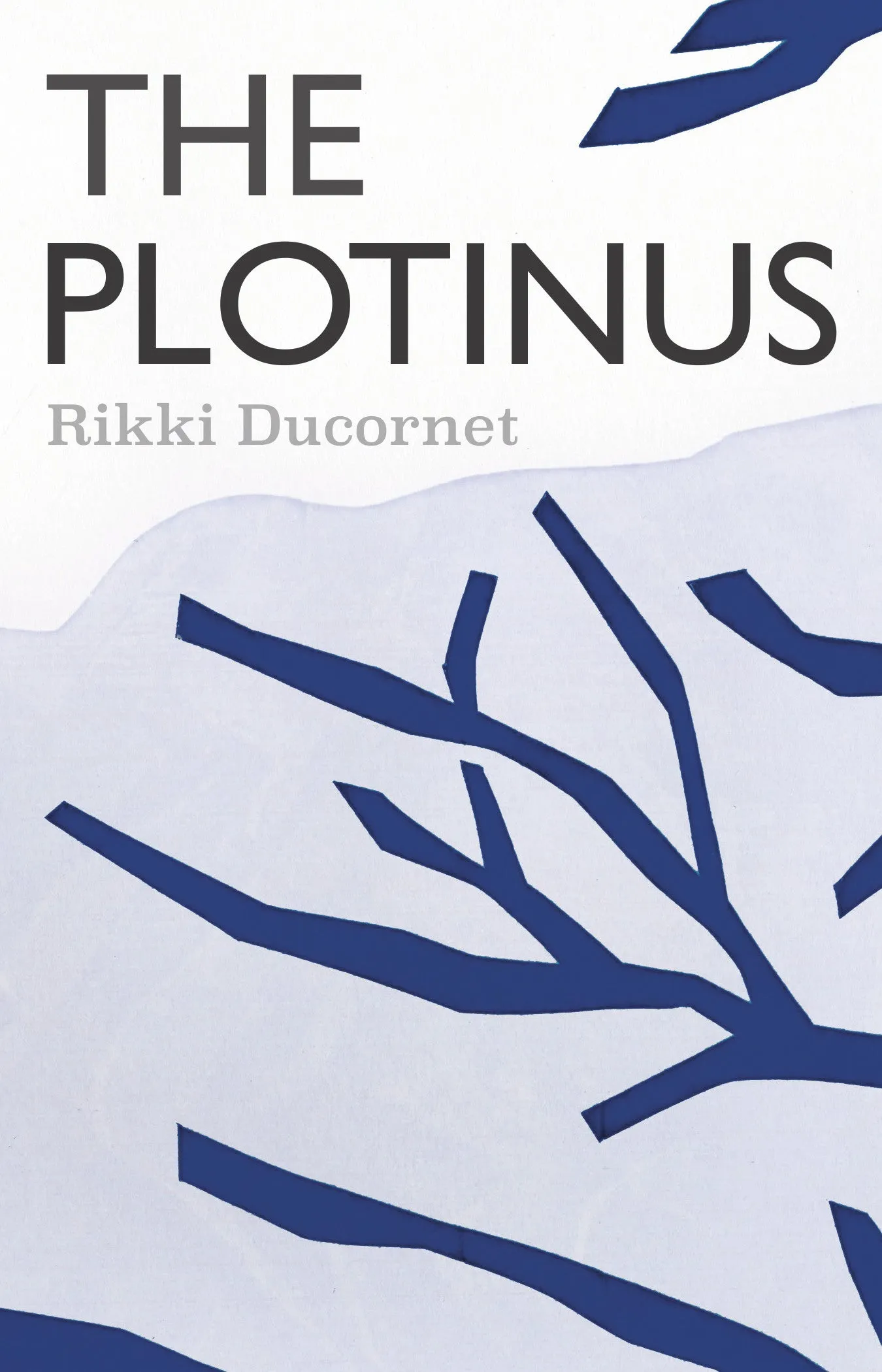 The Plotinus CHPbeta