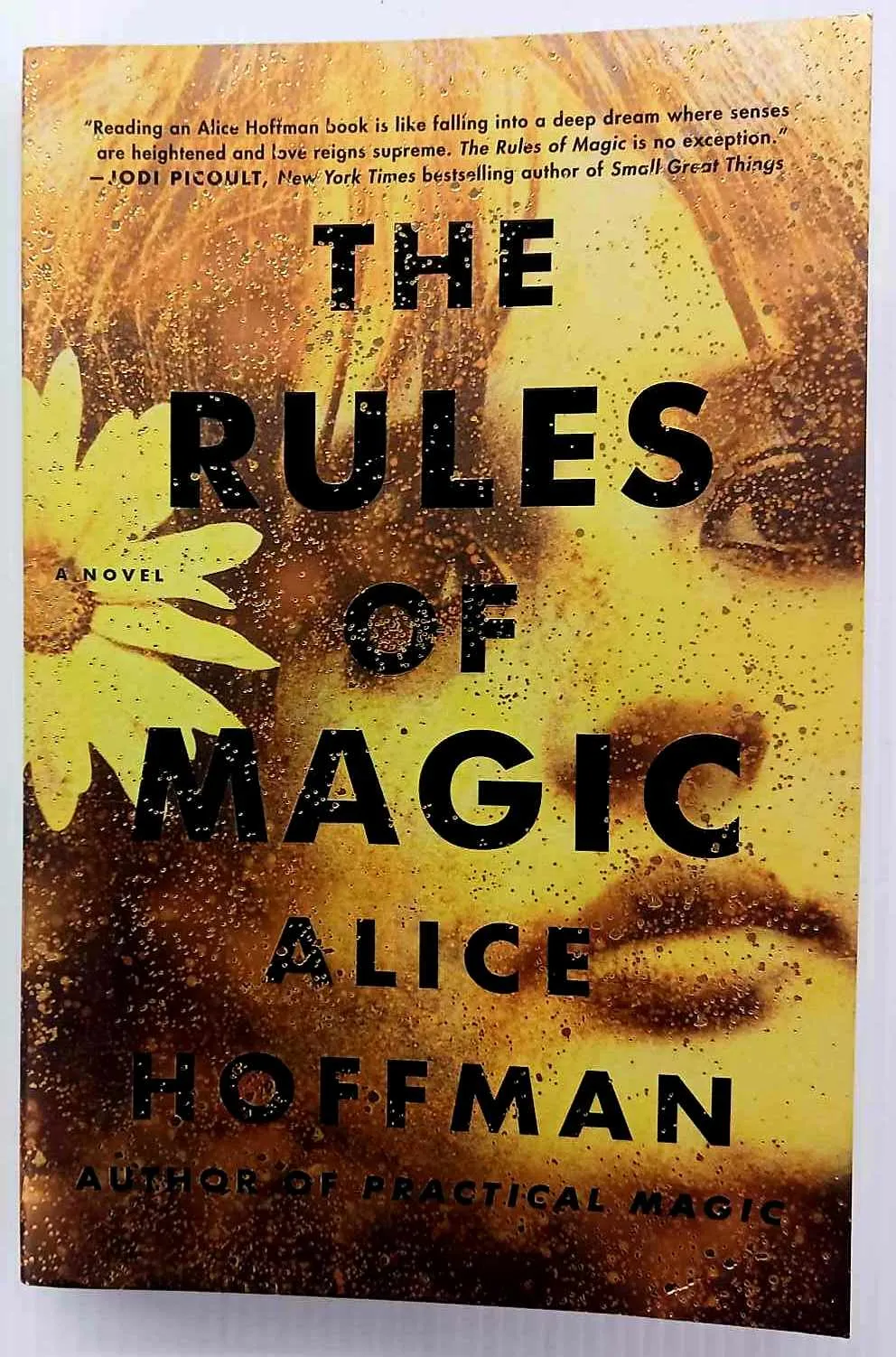 THE RULES OF MAGIC - Alice Hoffman
