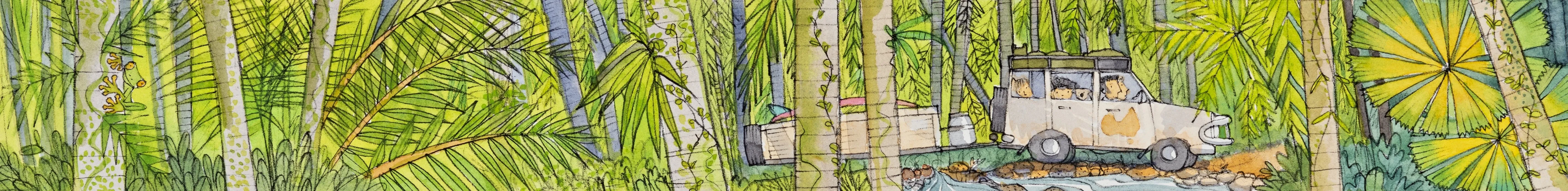 The shadowy green rainforest PRINT Alison Lester