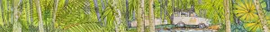 The shadowy green rainforest PRINT Alison Lester